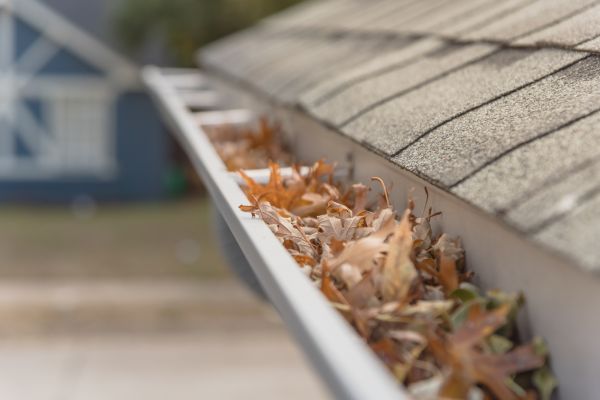 Leaf Barrier Installation in Boiling Springs